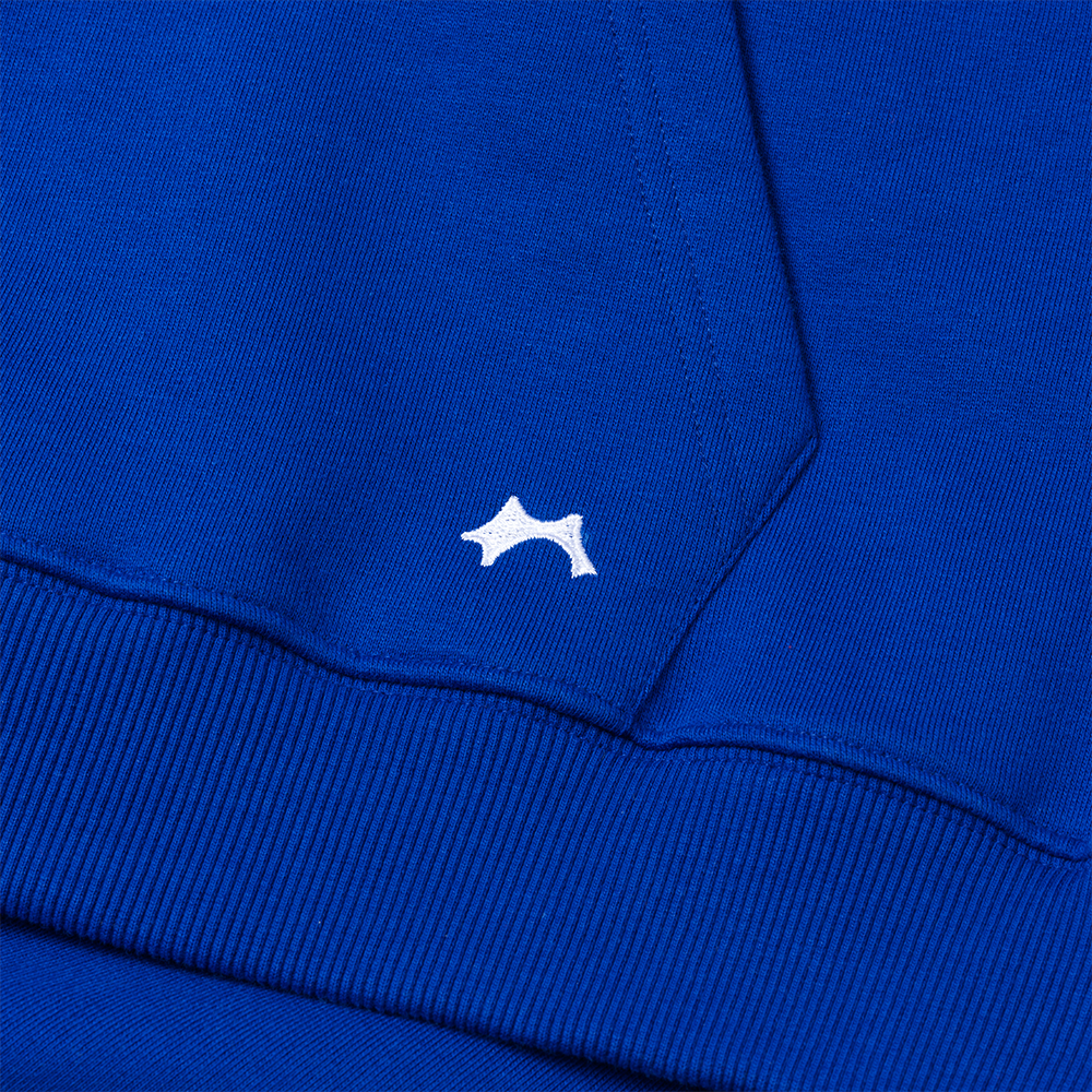 BLUEBELL OVERSIZED HOODIE