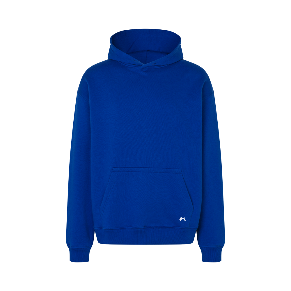 BLUEBELL OVERSIZED HOODIE