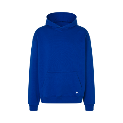 BLUEBELL OVERSIZED HOODIE