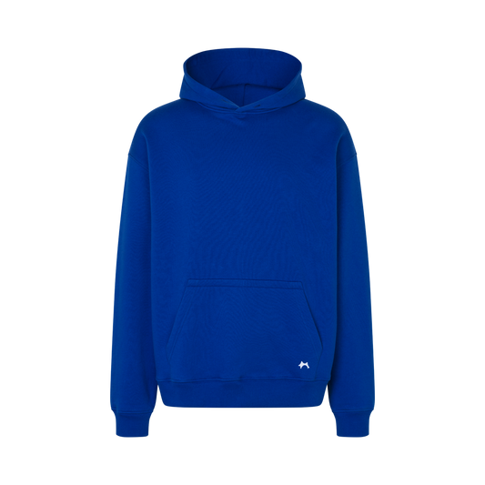 BLUEBELL OVERSIZED HOODIE