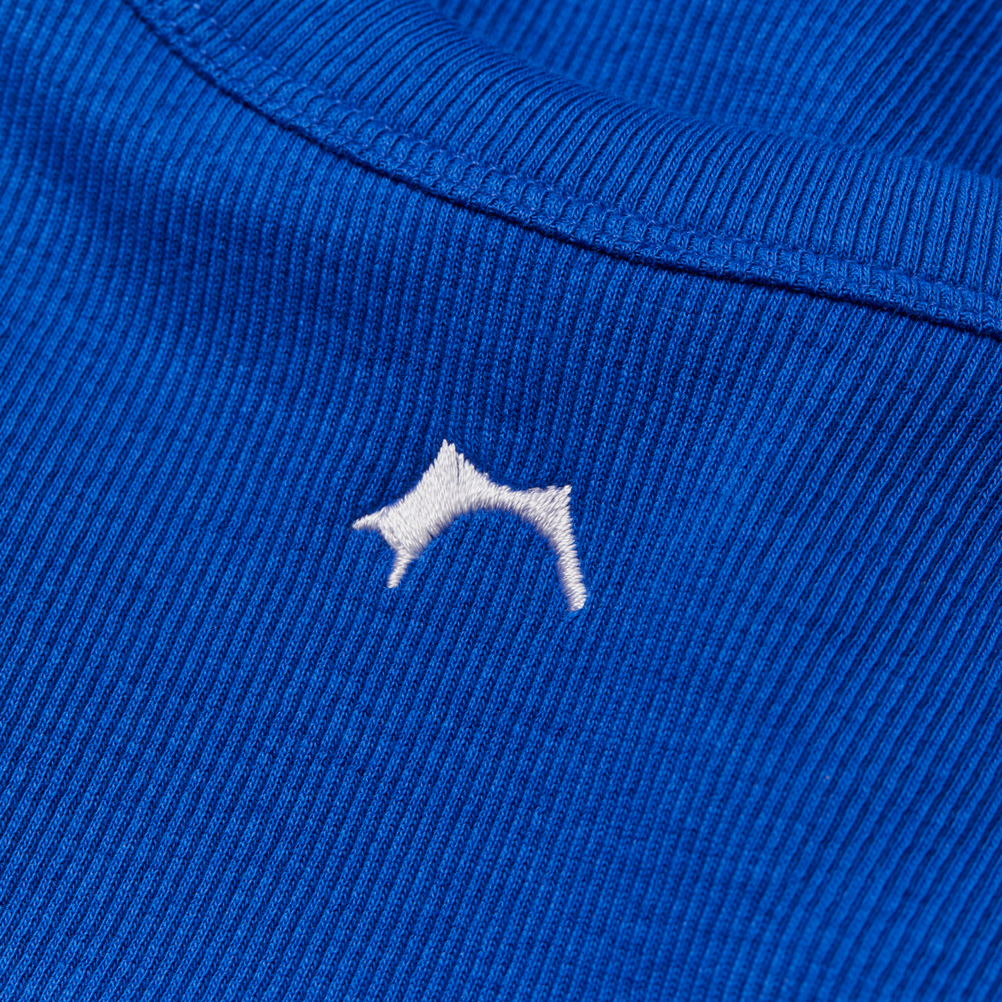 Blue Rib Top